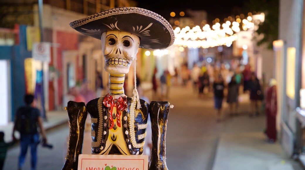 San Jose del Cabo Art District featuring outdoor art and night scenes
