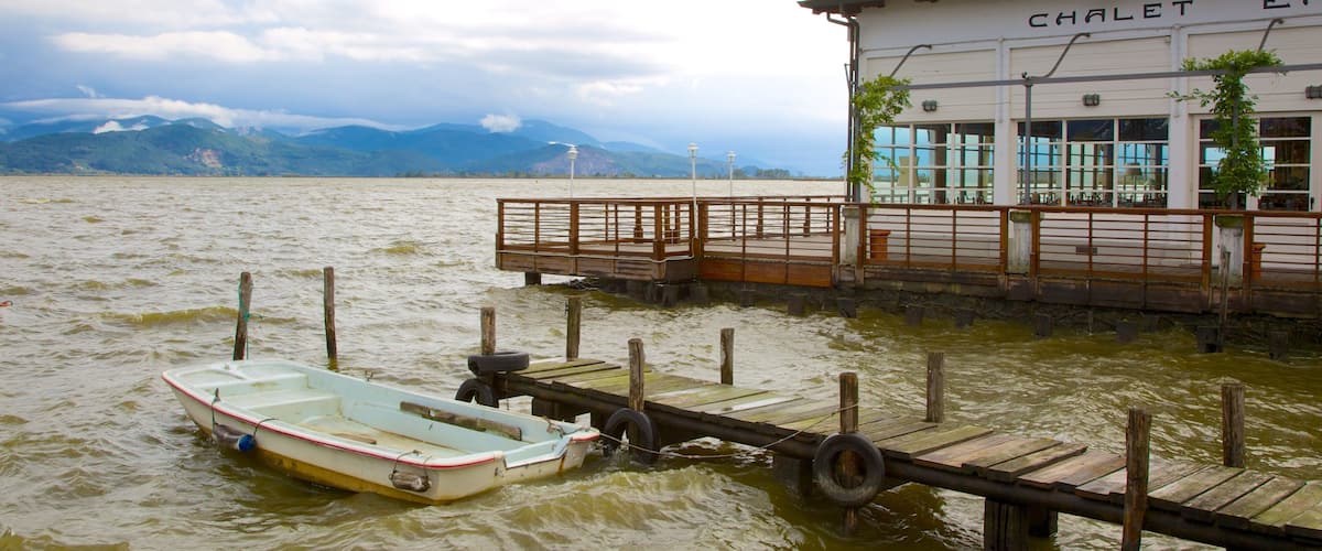 Massaciuccoli Lake showing boating, a coastal town and a lake or waterhole
