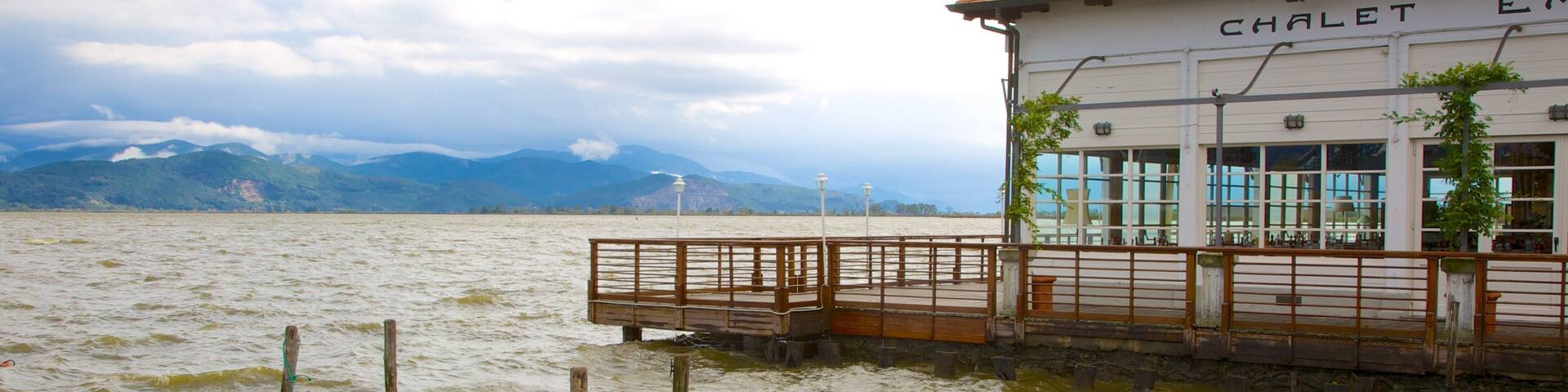 Massaciuccoli Lake featuring boating, a bridge and a lake or waterhole
