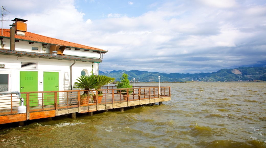 Massaciuccoli Lake which includes general coastal views and a house