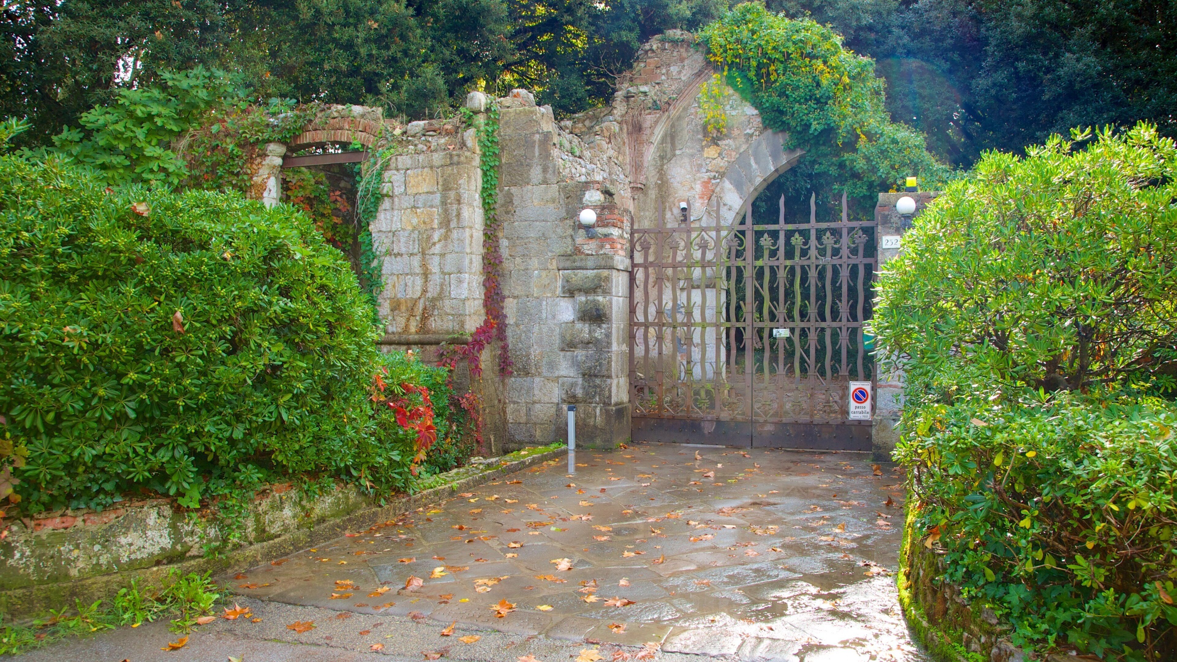 Massaciuccoli Lake showing a garden