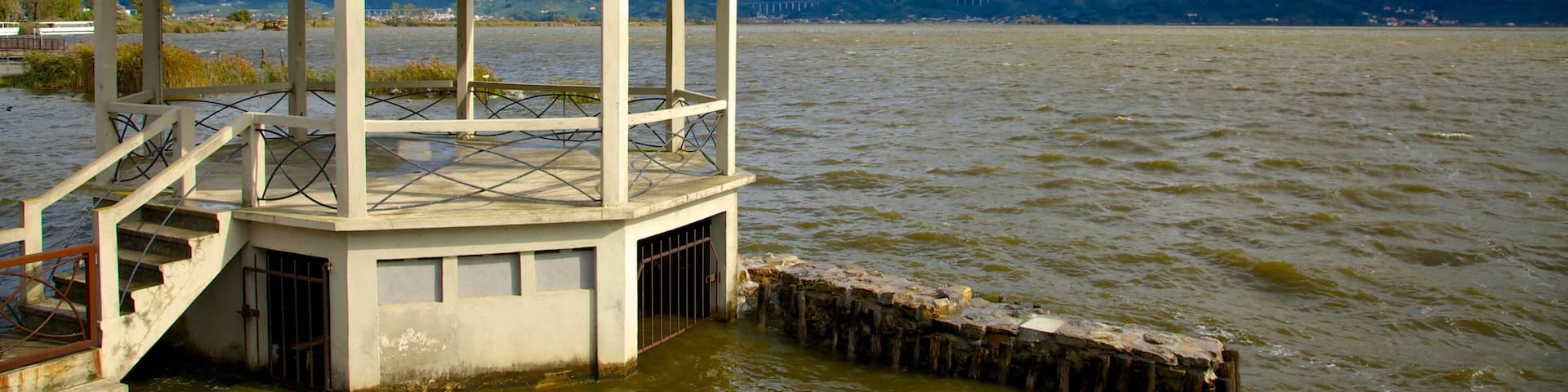 Lac Massaciuccoli qui includes lac ou étang et silhouettes urbaines