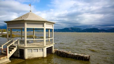 Massaciuccoli Lake featuring skyline and a lake or waterhole