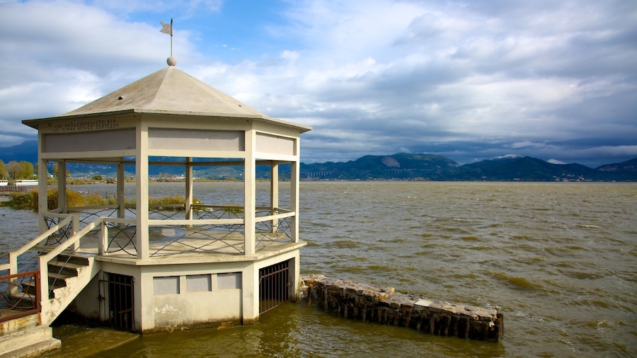 Massaciuccoli Lake showing a lake or waterhole and skyline