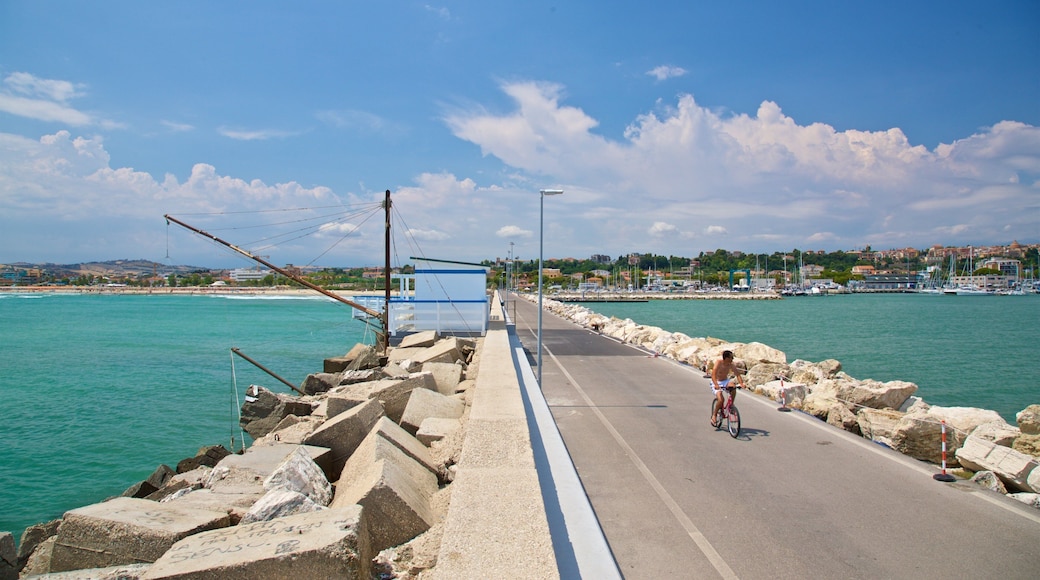 Giulianova Harbor showing general coastal views and cycling as well as an individual male