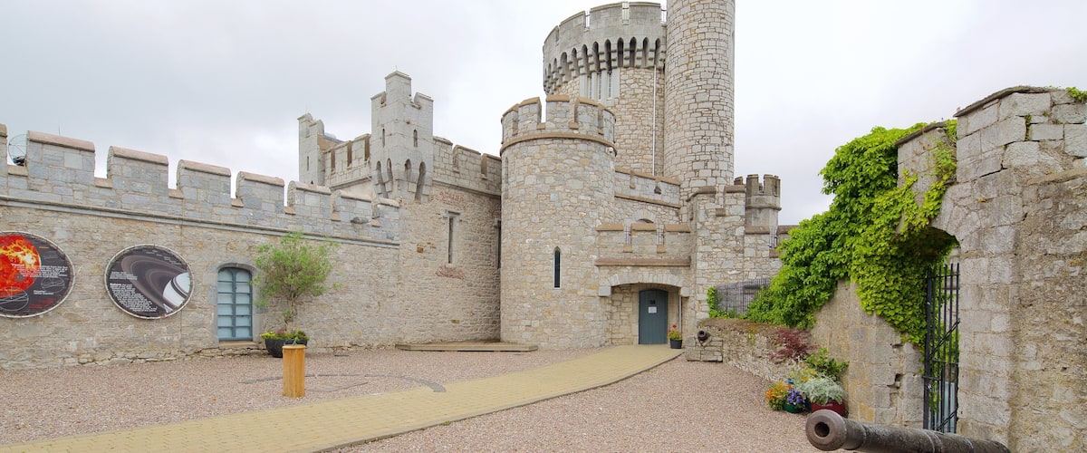 Castillo de Blackrock mostrando elementos del patrimonio, castillo o palacio y patrimonio de arquitectura
