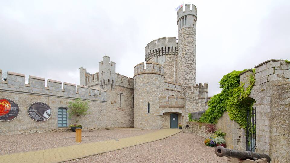 Blackrock Castle showing heritage elements, château or palace and heritage architecture