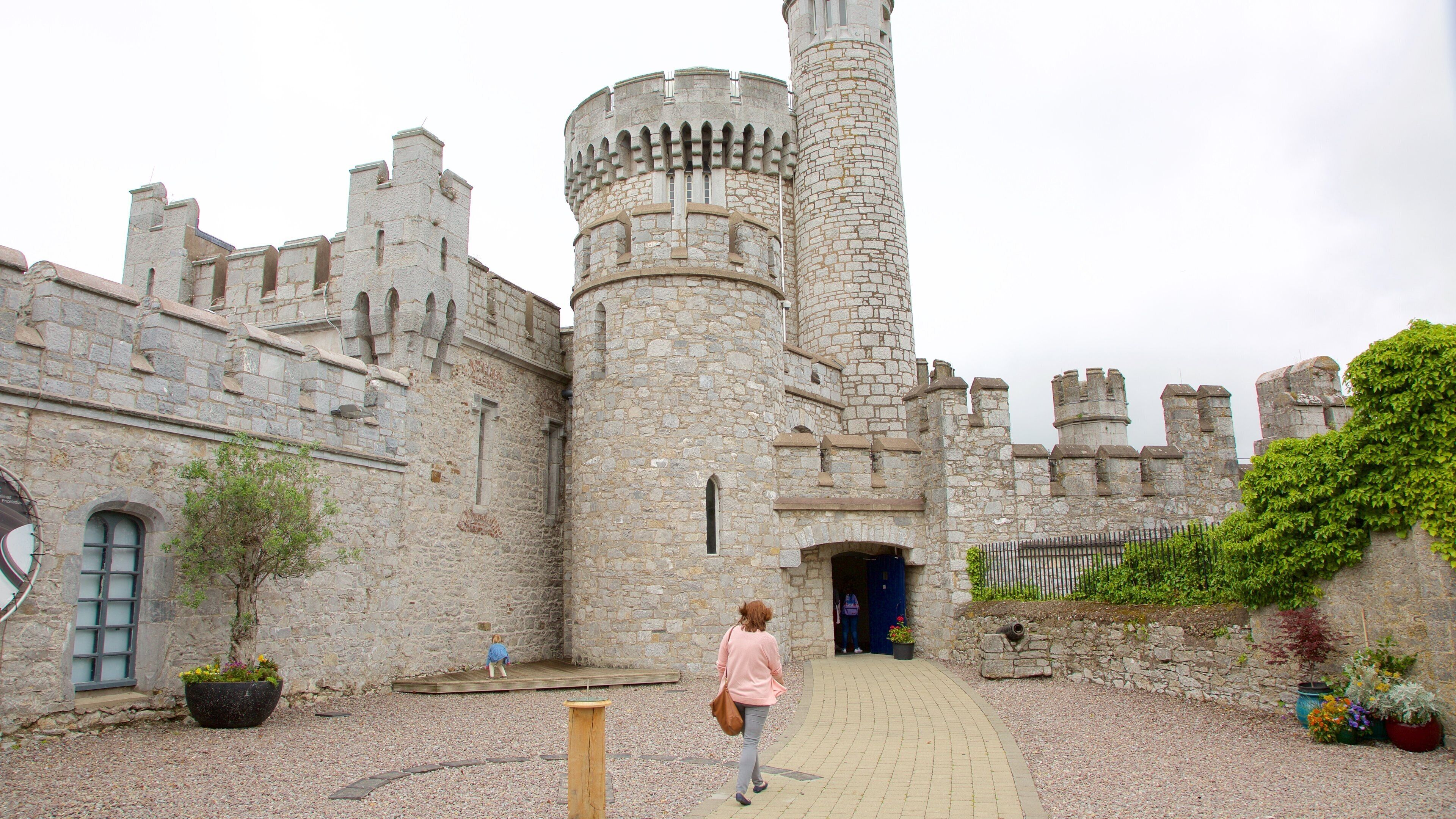 Blackrock Castle which includes heritage architecture, chateau or palace and heritage elements