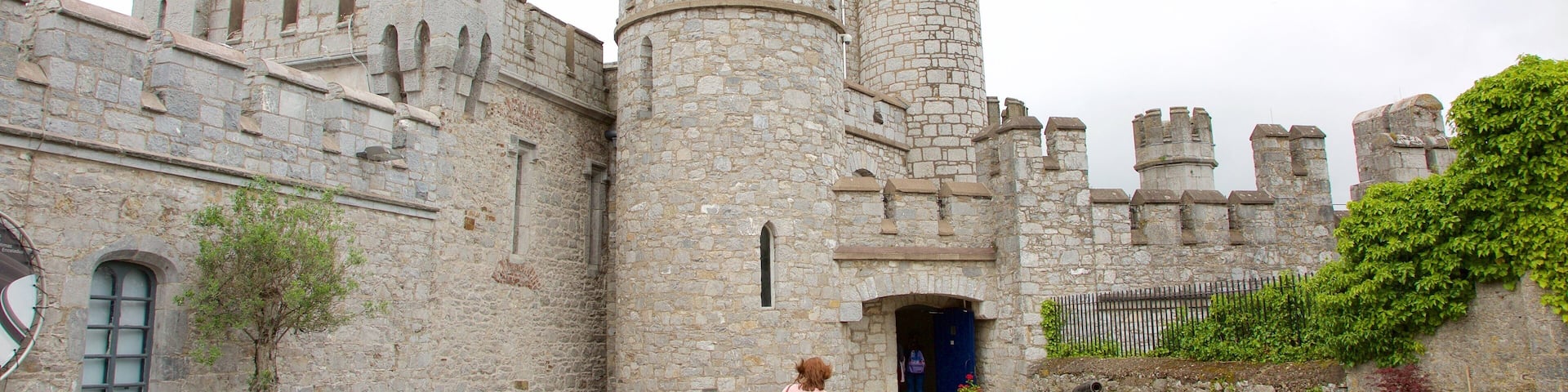 Blackrock Castle which includes heritage architecture, chateau or palace and heritage elements