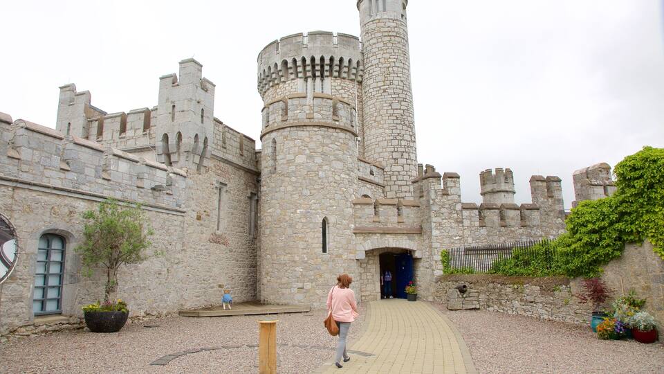 Blackrock Castle showing heritage architecture, heritage elements and a castle