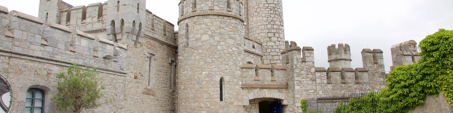 Blackrock Castle which includes heritage architecture, chateau or palace and heritage elements