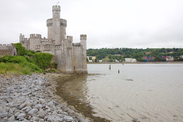 Blackrock Castle mit einem Geschichtliches, Burg und Fluss oder Bach