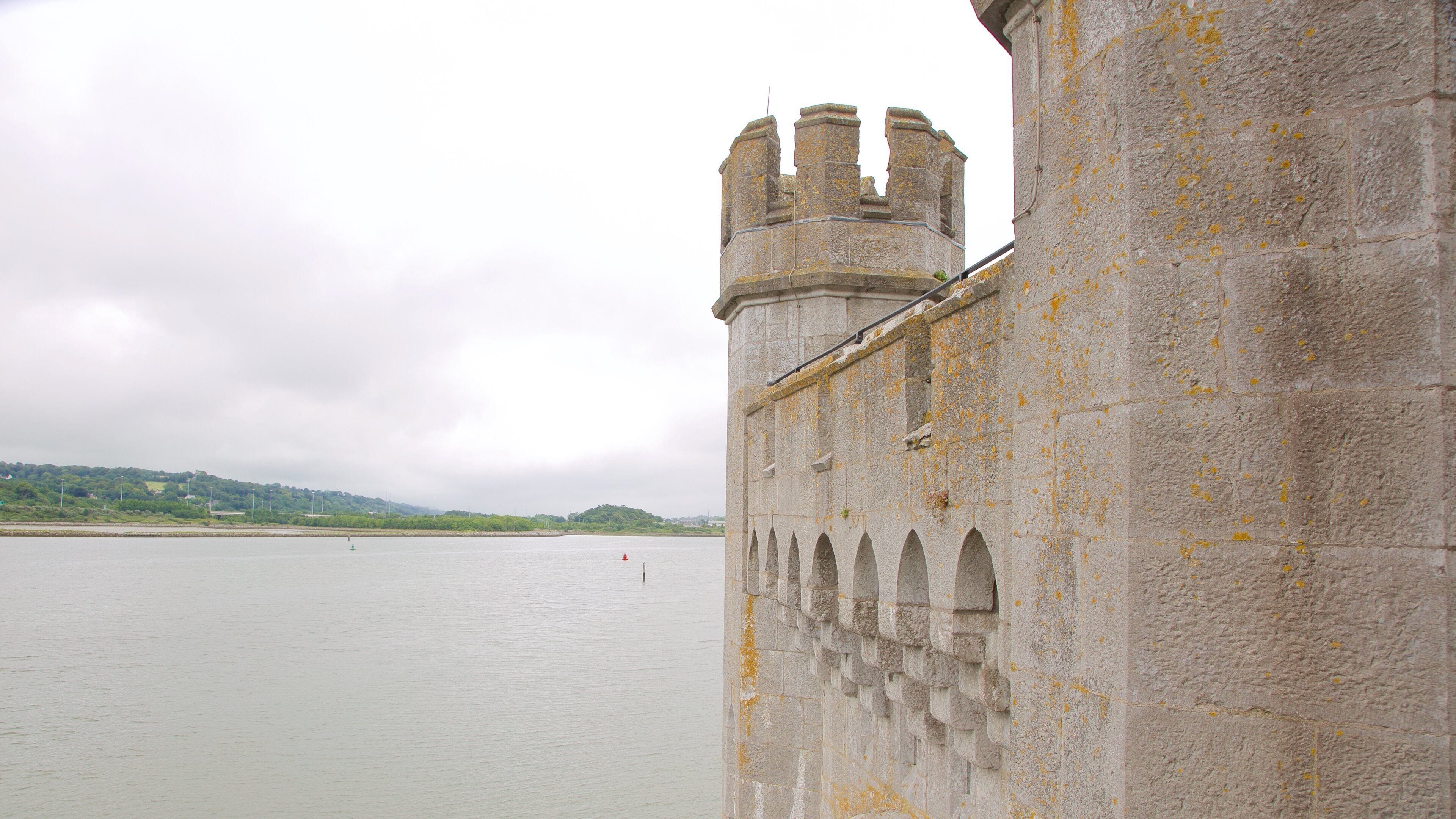 Blackrock Castle showing heritage architecture, heritage elements and a river or creek