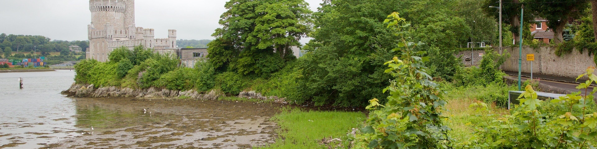 Blackrock Castle which includes heritage elements, heritage architecture and chateau or palace