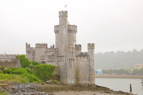 Blackrock Castle mit einem Geschichtliches, Fluss oder Bach und Palast oder Schloss
