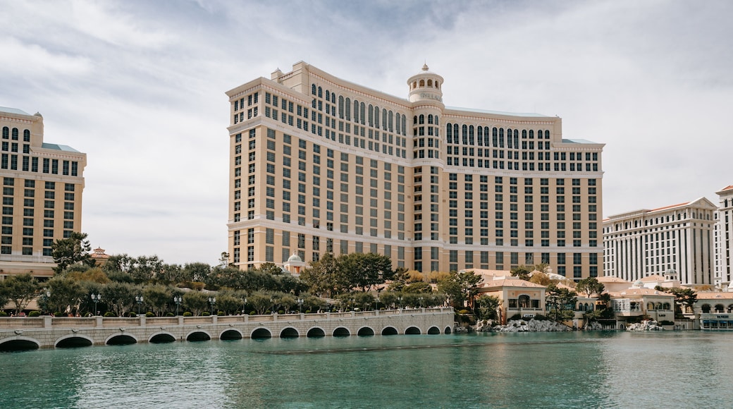 Bellagio Casino showing a pond and a hotel