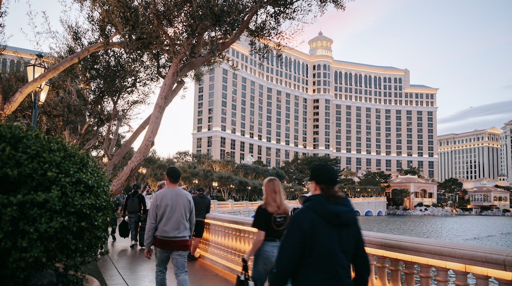 Bellagio Casino featuring a hotel, street scenes and a pond