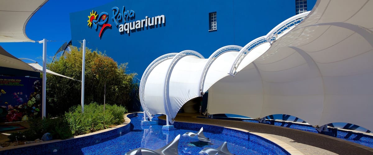 Aquarium de Palma montrant vie marine et art en plein air
