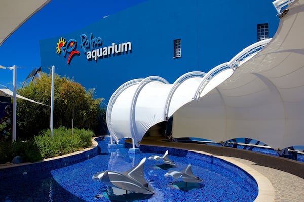 Palma Aquarium showing outdoor art and marine life