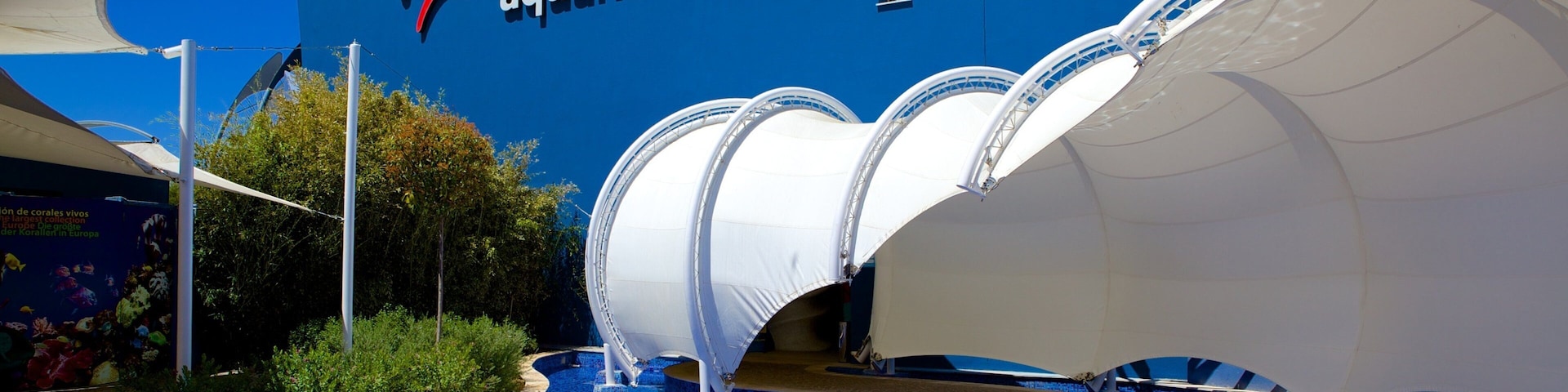 Palma Aquarium ofreciendo arte al aire libre y vida marina