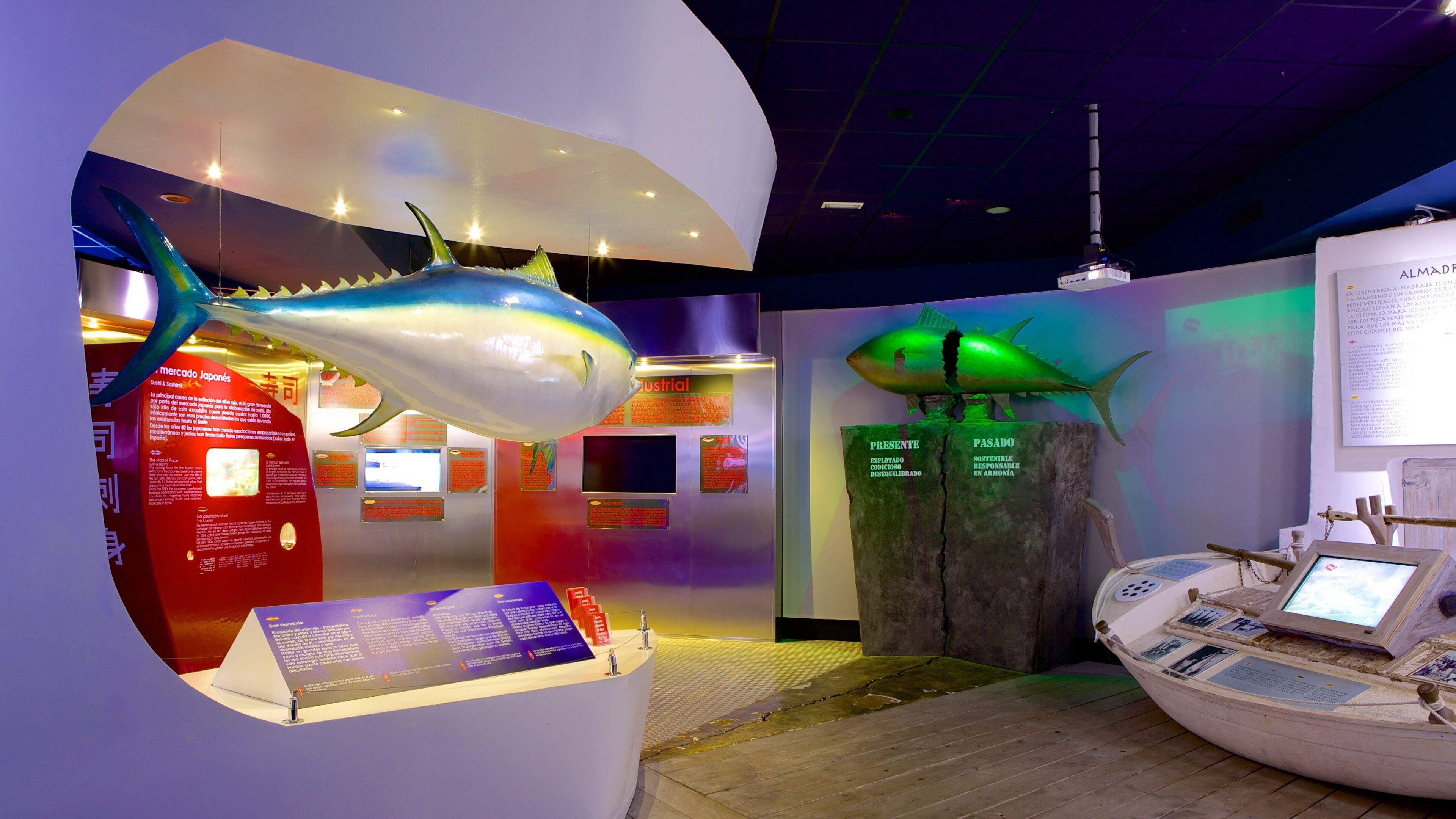 Palma Aquarium which includes interior views and marine life