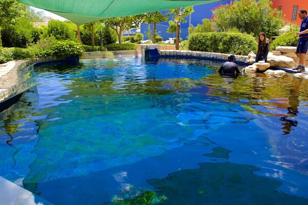 Palma Aquarium which includes marine life