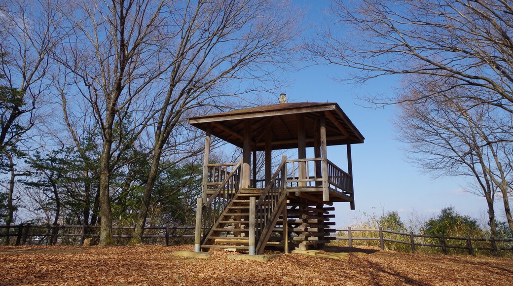 烏帽子形公園にて 古墳広場展望台 2013.2.10
