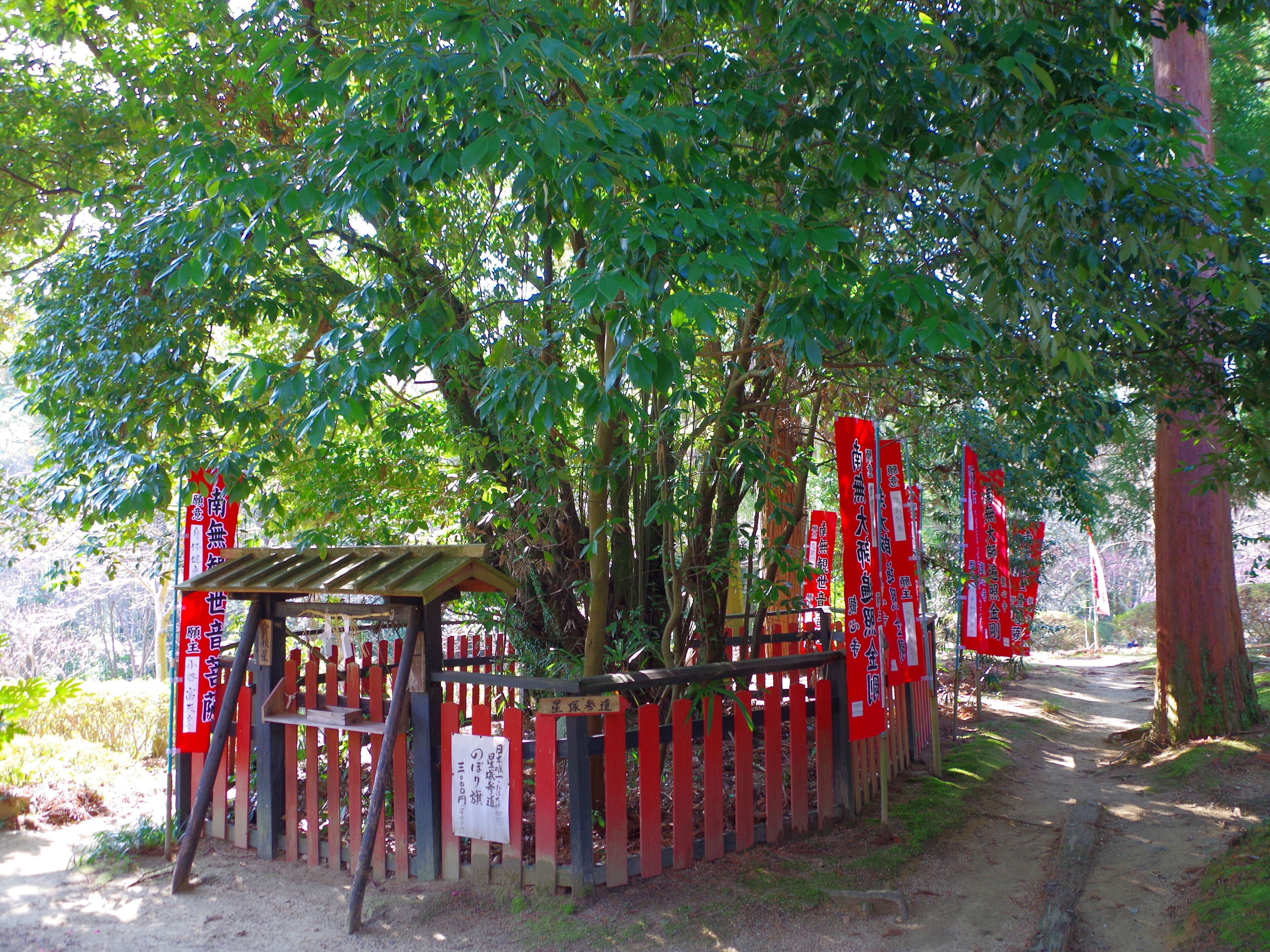 観心寺にて 星塚(一) 2013.3.15