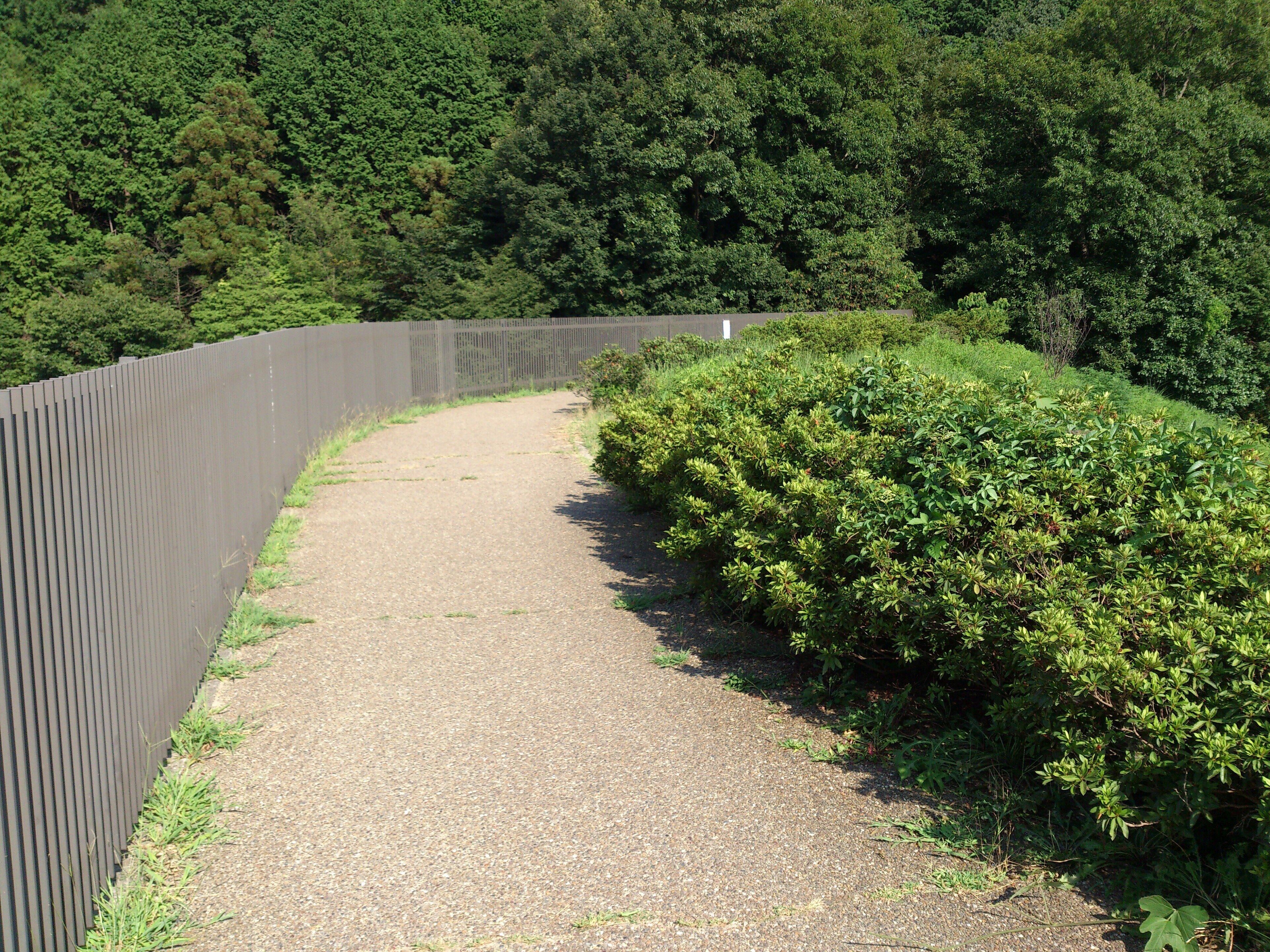 Esplanade of Teragaike