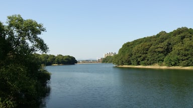 Un río tranquilo bordeado por árboles verdes y una playa arenosa.
