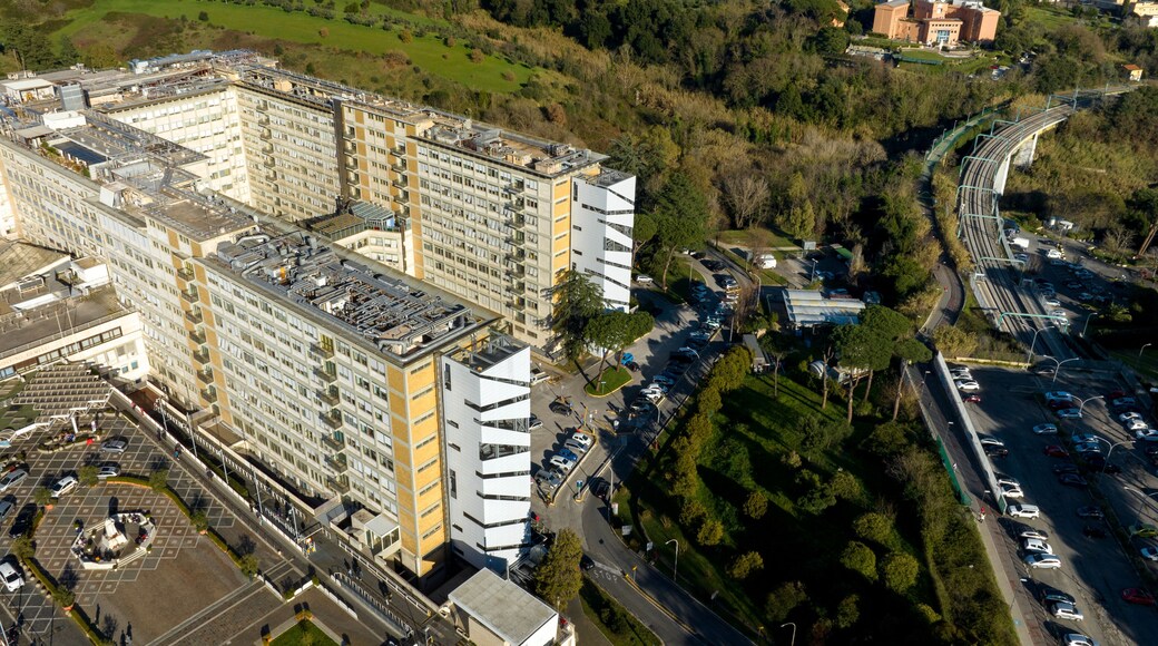 Policlinico Universitario Agostino Gemelli