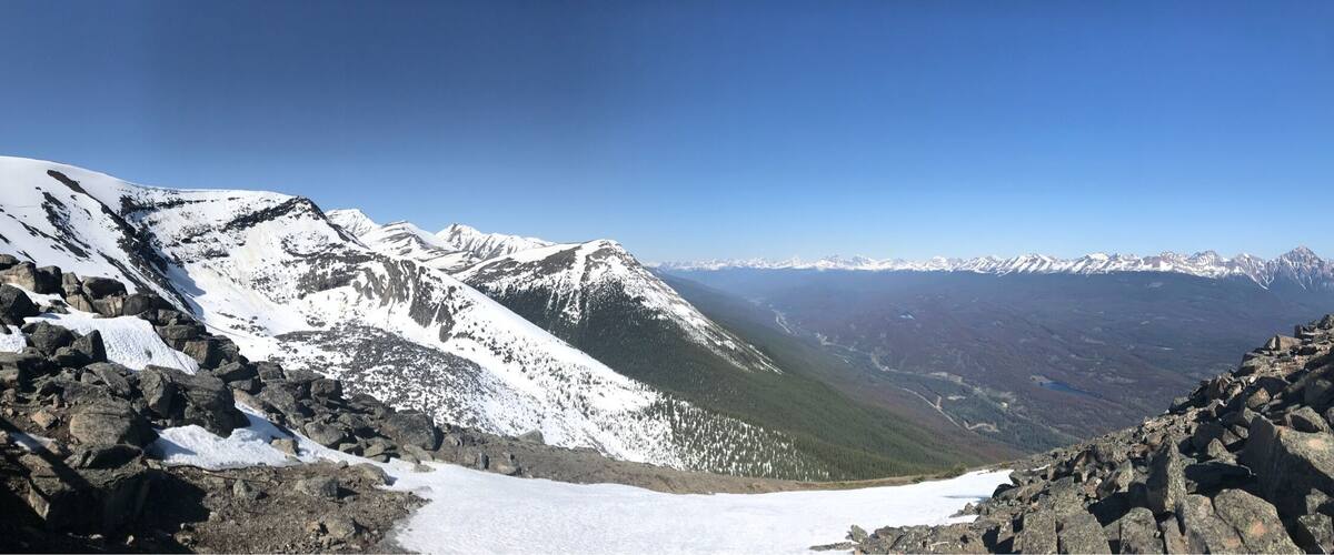 $50 ticket, 7 minutes up, and views all around.