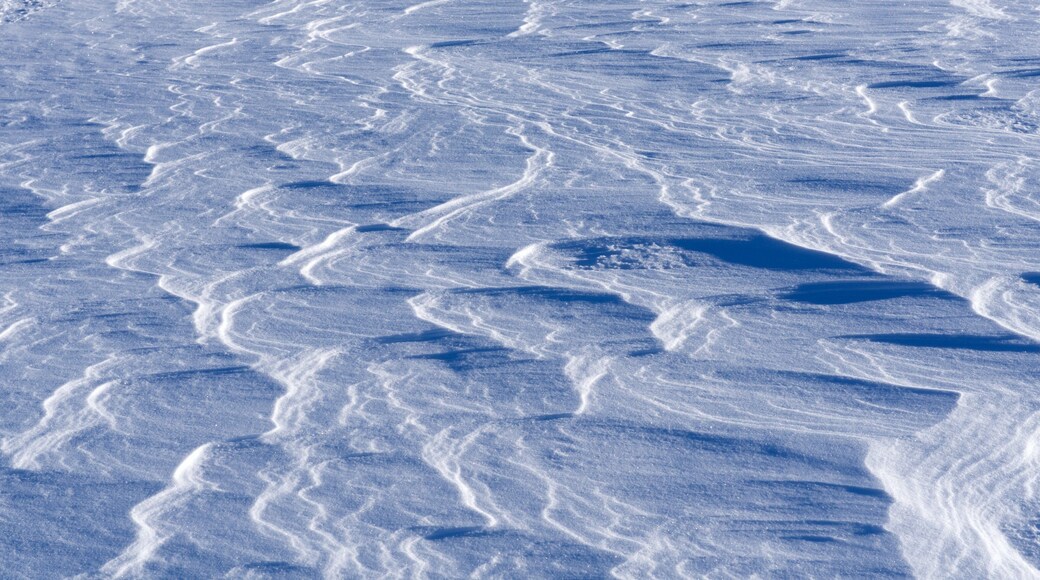 Jasper National Park