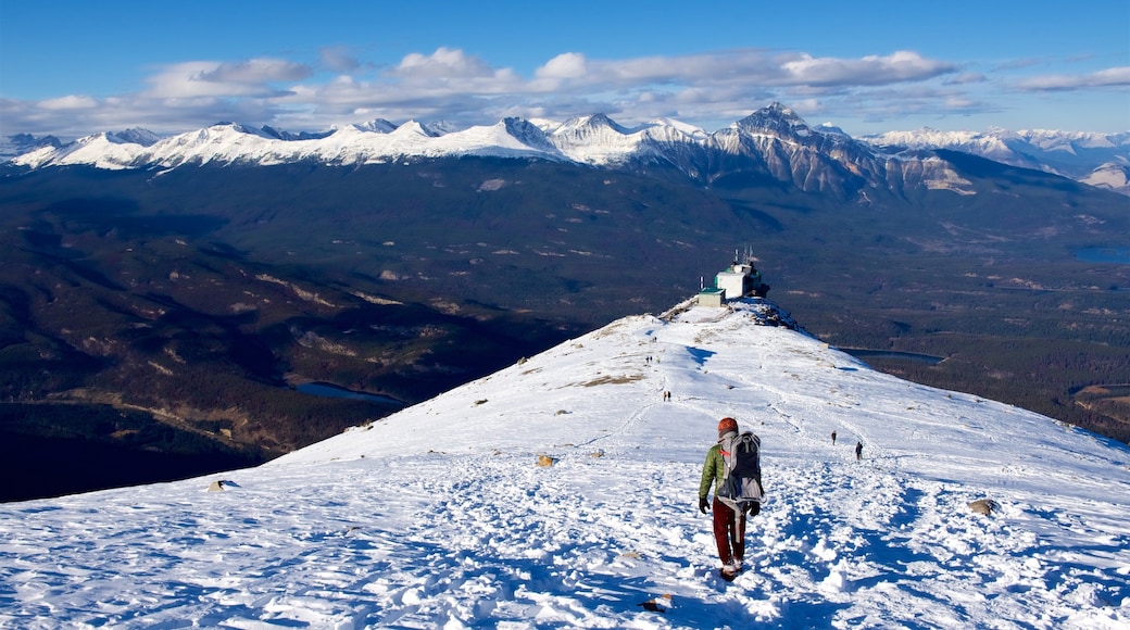 Jasper National Park showing mountains, snow and tranquil scenes