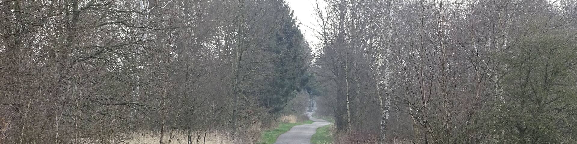 The road looks like a lifeline, never a straight line.