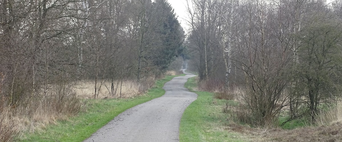 A paved path flanked by trees and grass, leading into the distance.