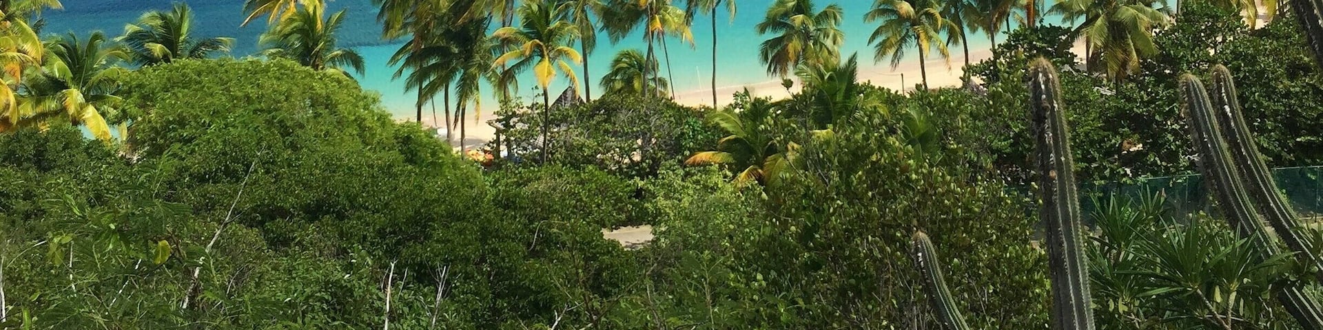 If you have to be stranded on an island... might as well make it Peter Island in the BVIs
#LifeatExpedia #beaches #bvi