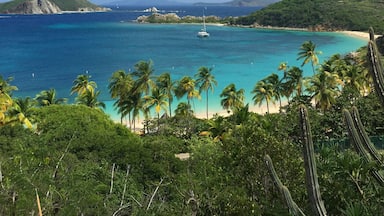 If you have to be stranded on an island... might as well make it Peter Island in the BVIs
#LifeatExpedia #beaches #bvi