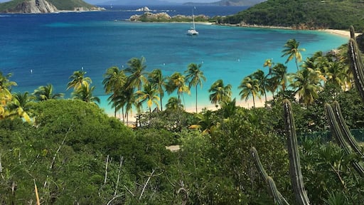 If you have to be stranded on an island... might as well make it Peter Island in the BVIs
#LifeatExpedia #beaches #bvi