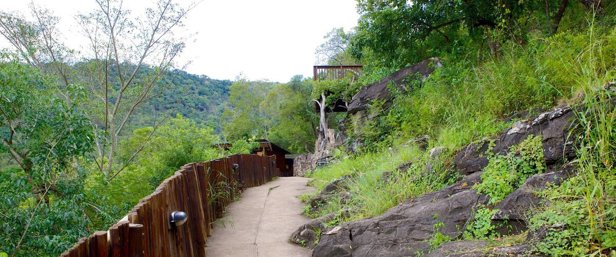 Mpumalanga - Limpopo qui includes forĂȘts et parc