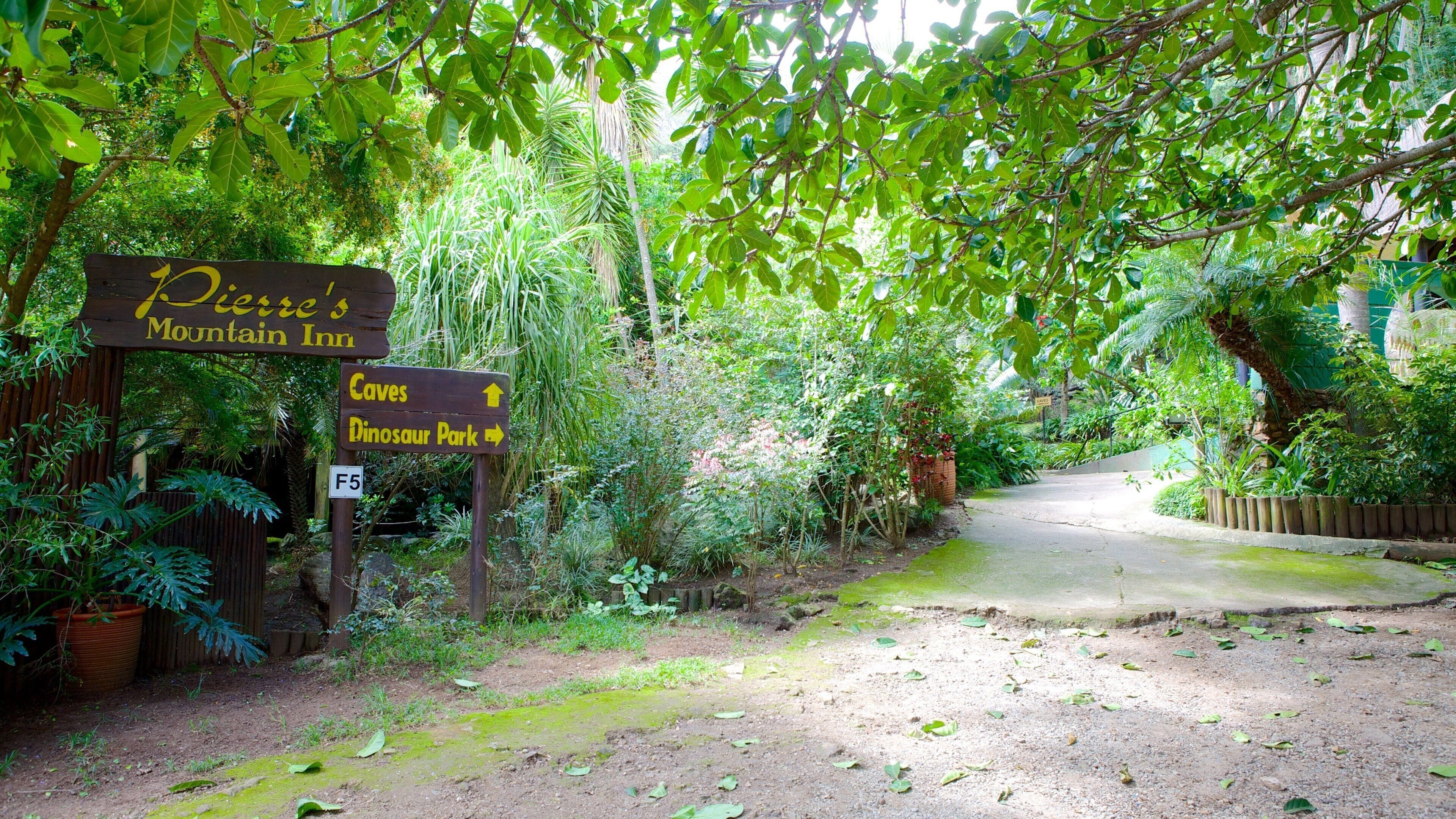 Mpumalanga - Limpopo which includes signage