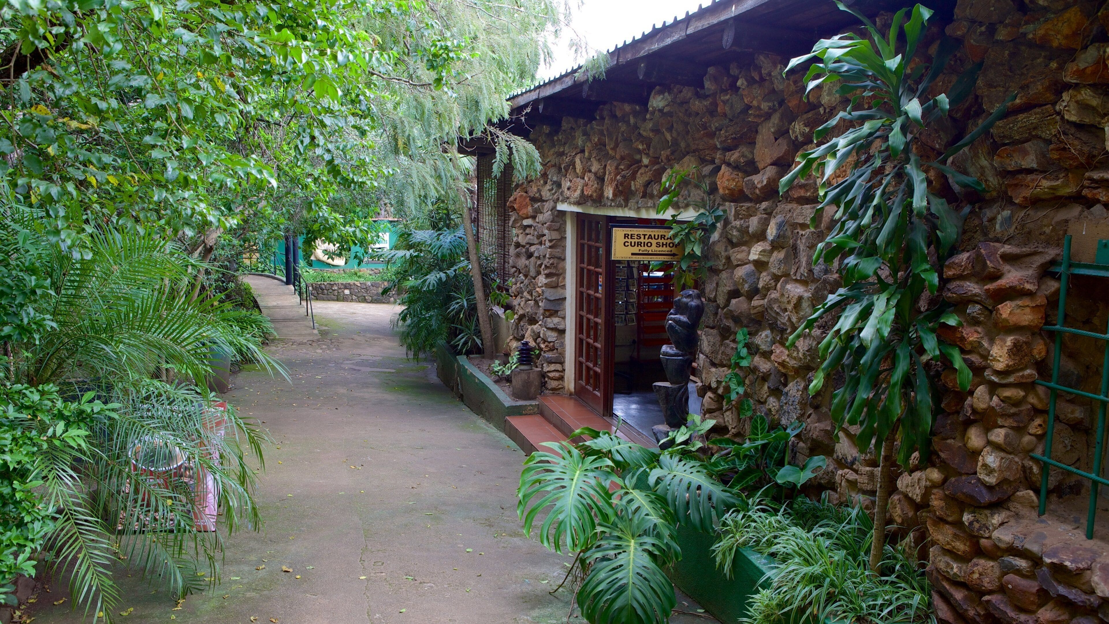 Mpumalanga - Limpopo which includes caves and a park