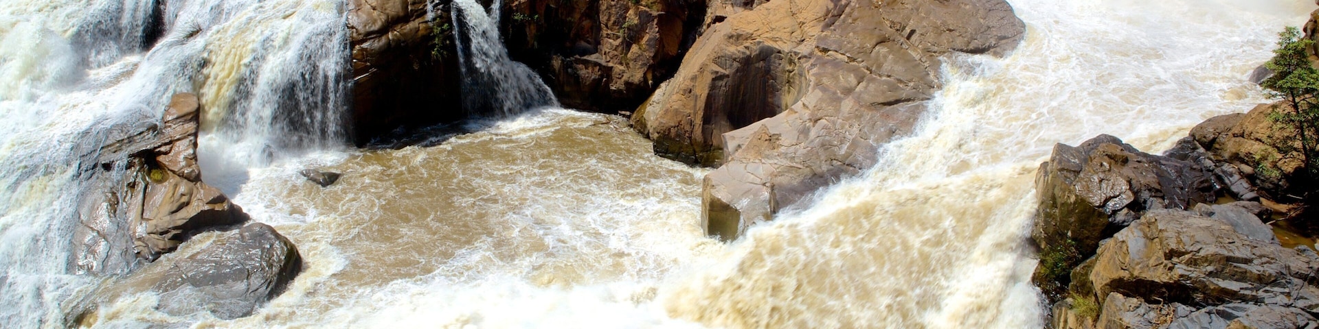 Jardim BotĂąnico Lowveld que inclui paisagem, cĂłrrego e um jardim