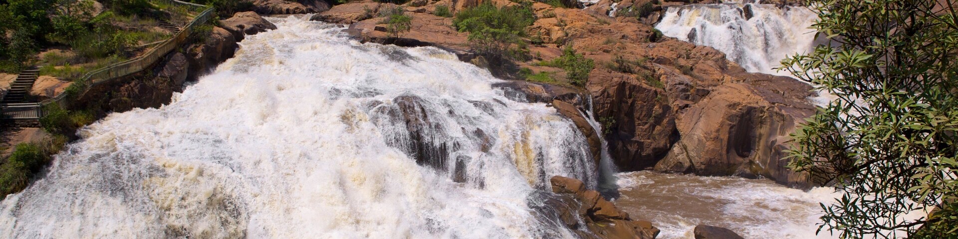 低地草原植物园