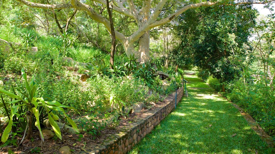 Lowveld Botanical Garden which includes a garden