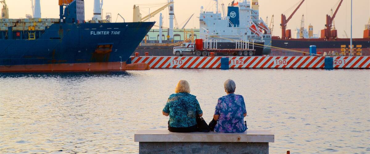Puerto de Veracruz que incluye un atardecer y una bahía o un puerto y también una mujer