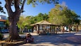 A gazebo in a park with a large tree and a couple sitting on the ground.