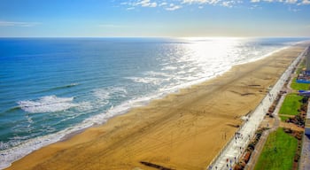 Virginia Beach Boardwalk | High aerial panoramic view | Virginia Beach, VA, USA.