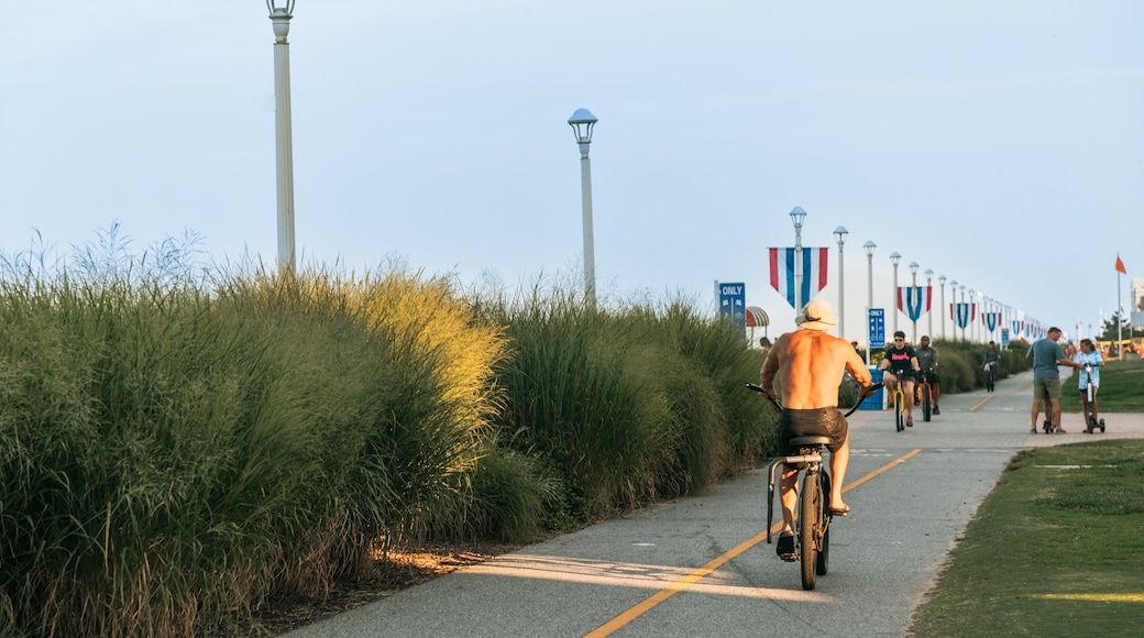 Virginia Beach Boardwalk which includes cycling as well as an individual male