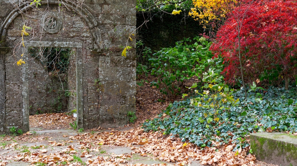Park, Parque de San Domingos de Bonaval.Santiago de Compostela, Galicia, Spain.; Shutterstock ID 780531733